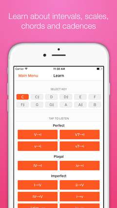 Learn about intervals, scales, chords and cadences