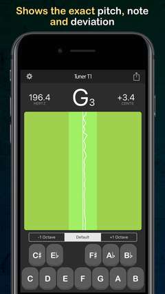 Shows the exact pitch, note and deviation.